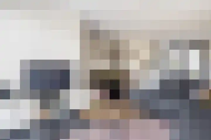 Anemoonlaan 34 b Raamsdonksveer thumbnail 12