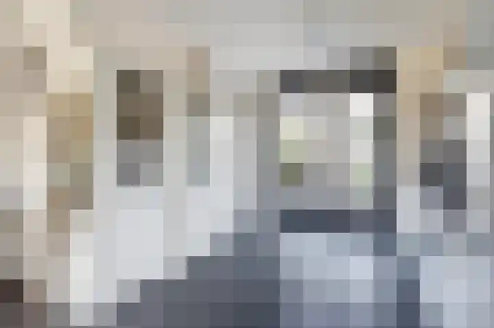 Anemoonlaan 34 b Raamsdonksveer thumbnail 13