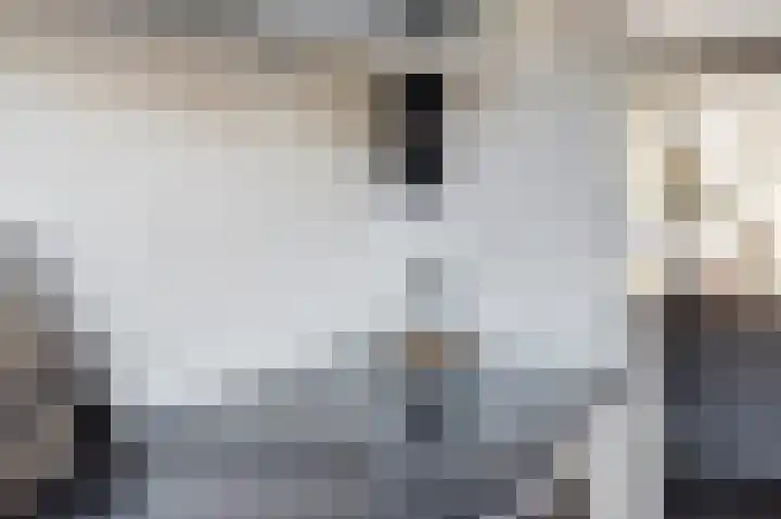 Anemoonlaan 34 b Raamsdonksveer thumbnail 15