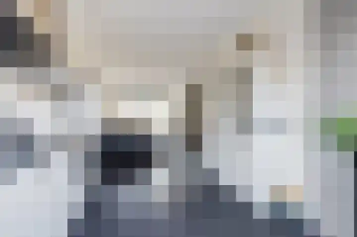 Anemoonlaan 34 b Raamsdonksveer thumbnail 16