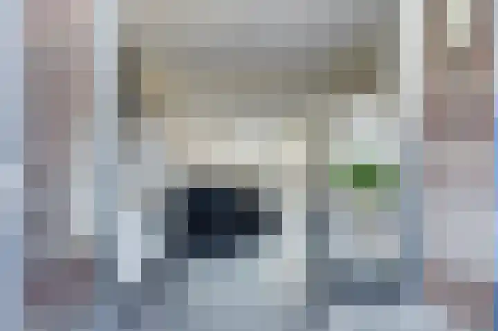 Anemoonlaan 34 b Raamsdonksveer thumbnail 17