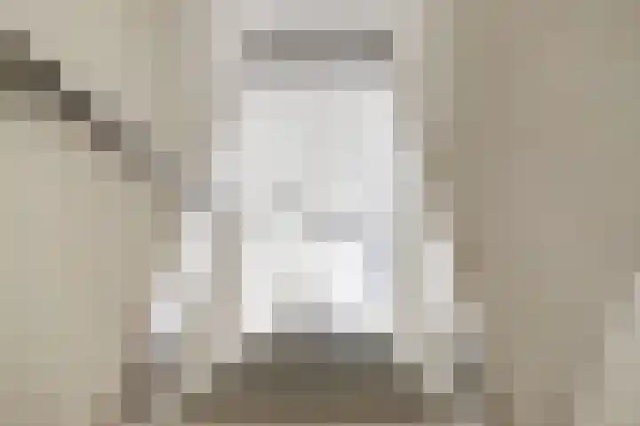 Anemoonlaan 34 b Raamsdonksveer thumbnail 19