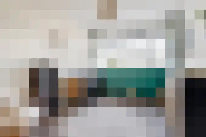 Anemoonlaan 34 b Raamsdonksveer thumbnail 20