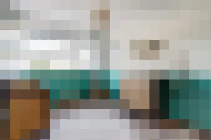 Anemoonlaan 34 b Raamsdonksveer thumbnail 22