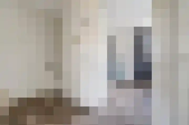 Anemoonlaan 34 b Raamsdonksveer thumbnail 26