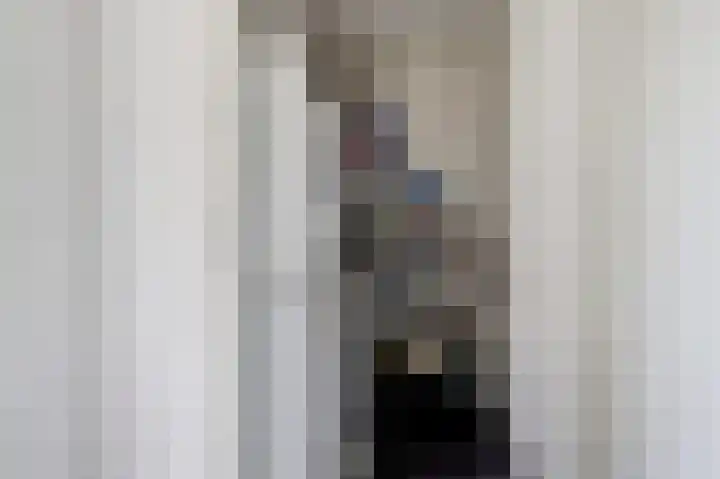 Anemoonlaan 34 b Raamsdonksveer thumbnail 27