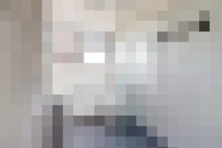 Anemoonlaan 34 b Raamsdonksveer thumbnail 28