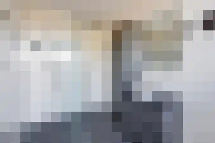 Anemoonlaan 34 b Raamsdonksveer thumbnail 29