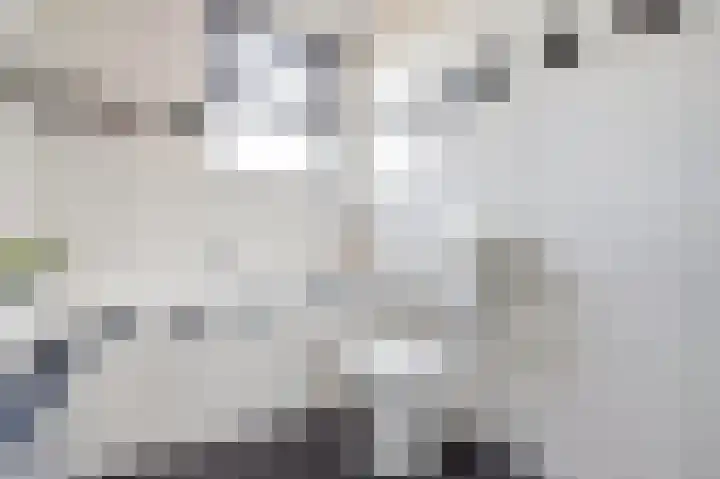 Anemoonlaan 34 b Raamsdonksveer thumbnail 30