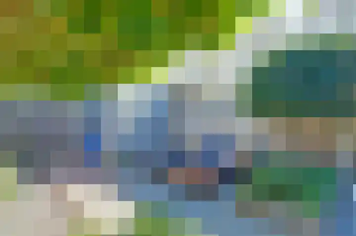 Anemoonlaan 34 b Raamsdonksveer thumbnail 33