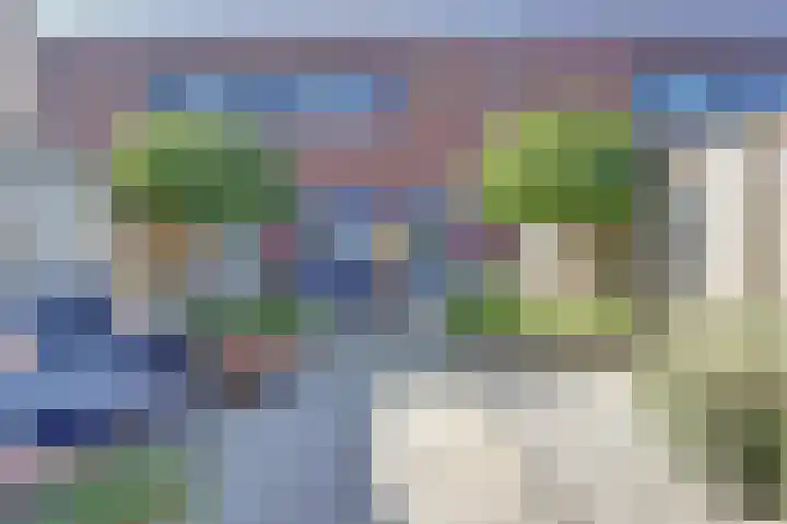 Anemoonlaan 34 b Raamsdonksveer thumbnail 35