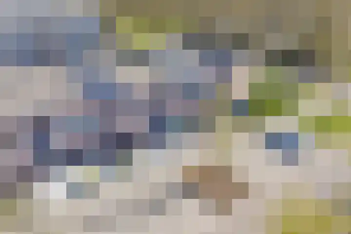 Anemoonlaan 34 b Raamsdonksveer thumbnail 36