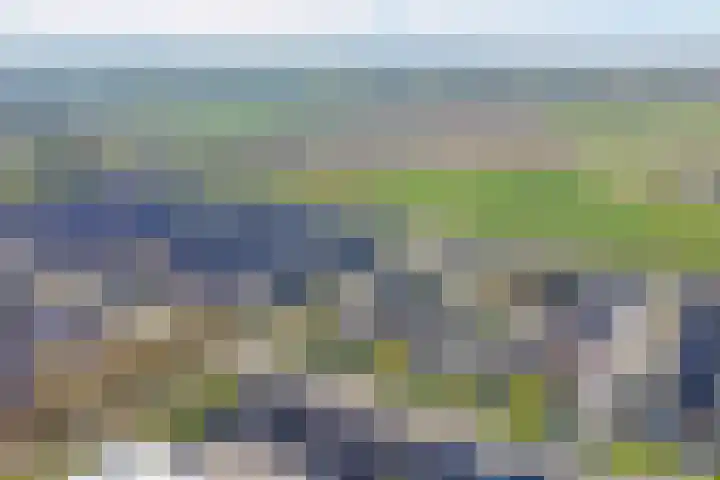 Anemoonlaan 34 b Raamsdonksveer thumbnail 38