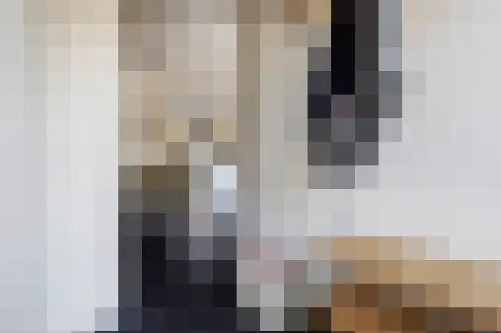 Anemoonlaan 34 b Raamsdonksveer thumbnail 7
