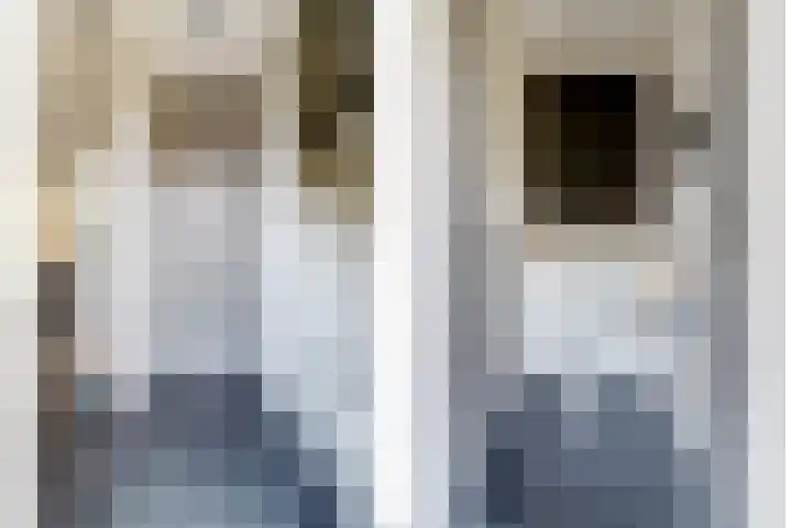 Anemoonlaan 34 b Raamsdonksveer thumbnail 8