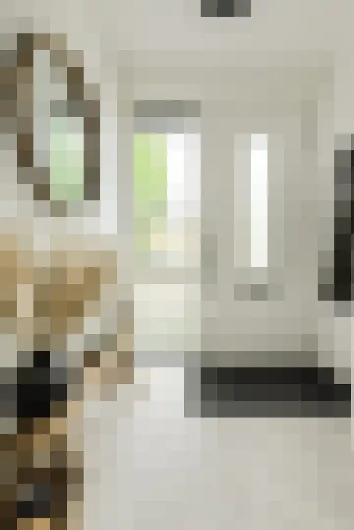 Anemoonlaan 36 a Raamsdonksveer thumbnail 10