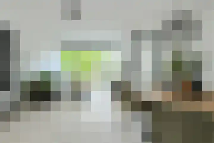 Anemoonlaan 36 a Raamsdonksveer thumbnail 11