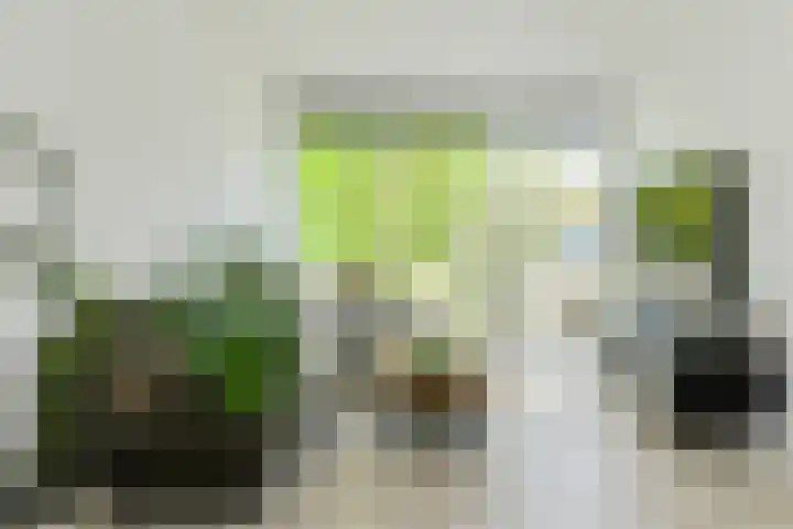 Anemoonlaan 36 a Raamsdonksveer thumbnail 12