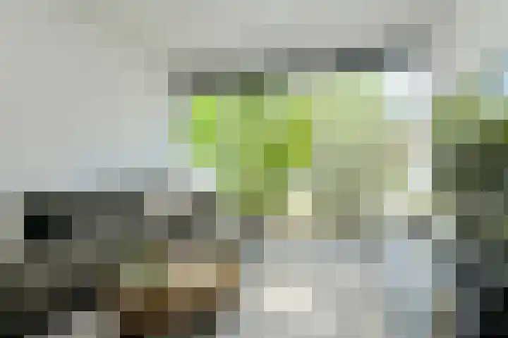 Anemoonlaan 36 a Raamsdonksveer thumbnail 13