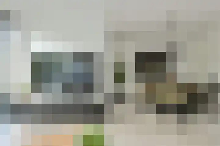 Anemoonlaan 36 a Raamsdonksveer thumbnail 14
