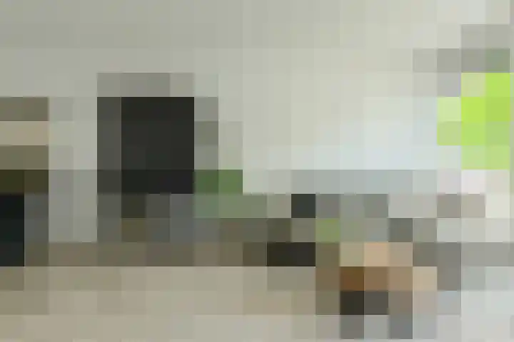 Anemoonlaan 36 a Raamsdonksveer thumbnail 15