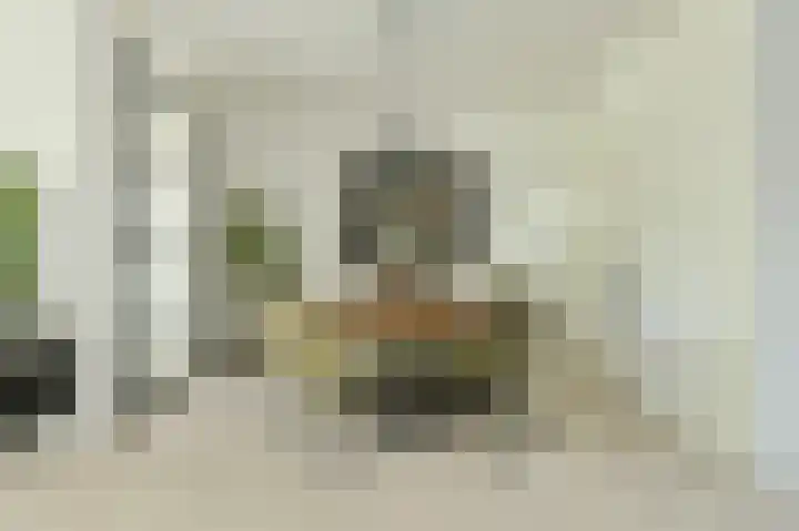 Anemoonlaan 36 a Raamsdonksveer thumbnail 16