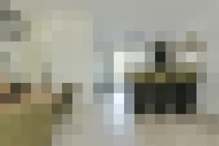 Anemoonlaan 36 a Raamsdonksveer thumbnail 17
