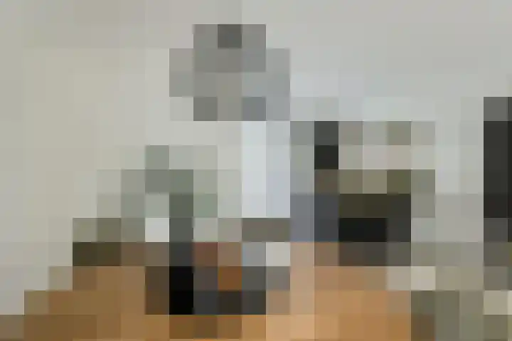 Anemoonlaan 36 a Raamsdonksveer thumbnail 18