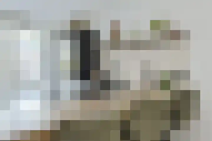Anemoonlaan 36 a Raamsdonksveer thumbnail 19