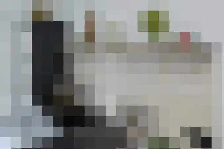 Anemoonlaan 36 a Raamsdonksveer thumbnail 20