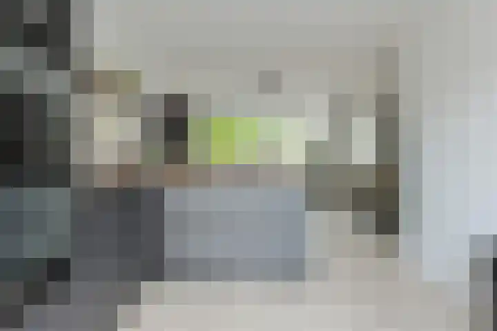 Anemoonlaan 36 a Raamsdonksveer thumbnail 21