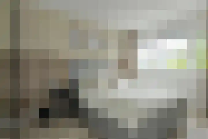 Anemoonlaan 36 a Raamsdonksveer thumbnail 27