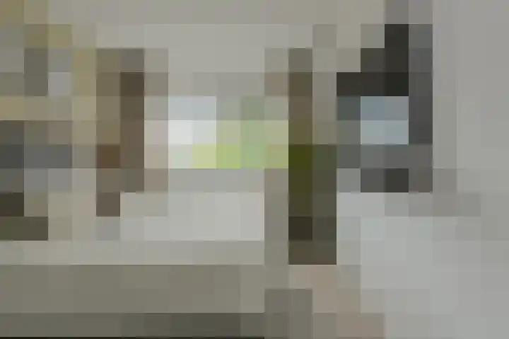 Anemoonlaan 36 a Raamsdonksveer thumbnail 28