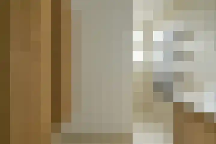 Anemoonlaan 36 a Raamsdonksveer thumbnail 30