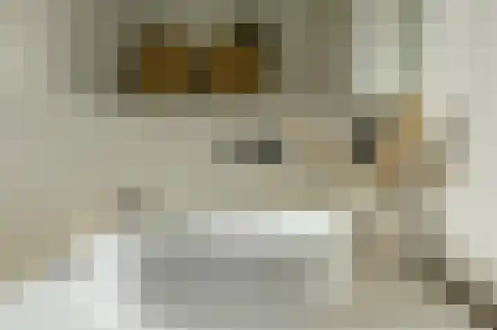 Anemoonlaan 36 a Raamsdonksveer thumbnail 32