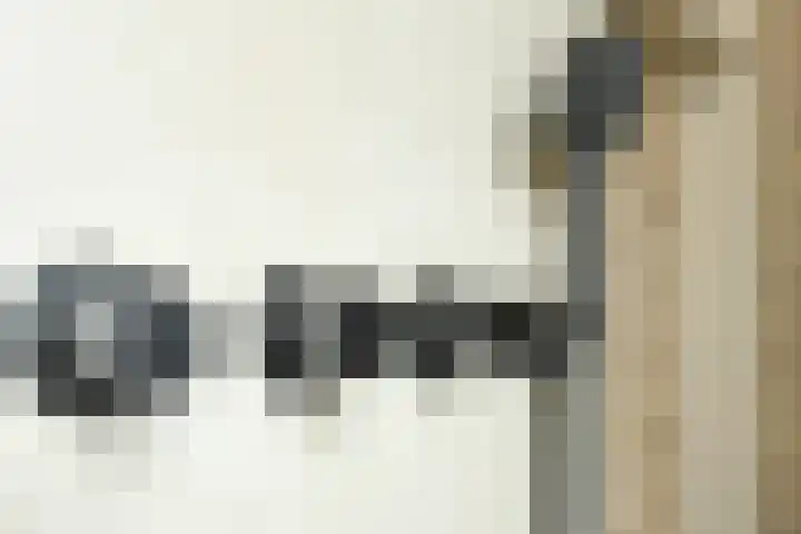 Anemoonlaan 36 a Raamsdonksveer thumbnail 34
