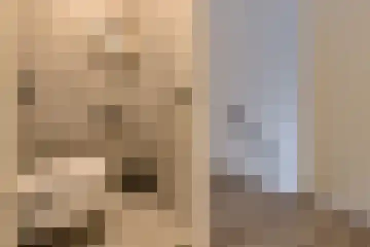 Anemoonlaan 36 a Raamsdonksveer thumbnail 35
