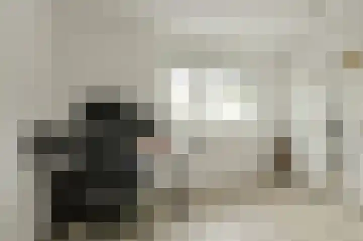 Anemoonlaan 36 a Raamsdonksveer thumbnail 36