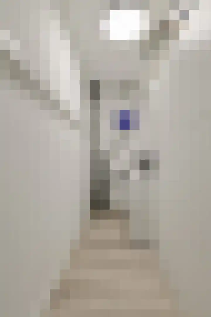 Anemoonlaan 36 a Raamsdonksveer thumbnail 39