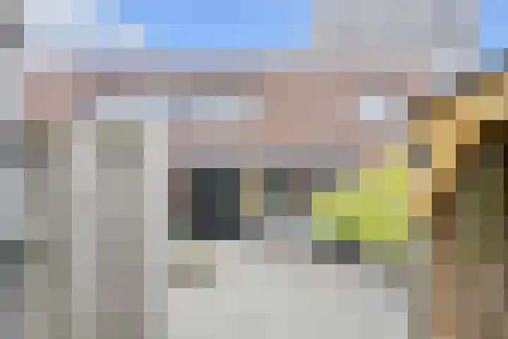 Anemoonlaan 36 a Raamsdonksveer thumbnail 44