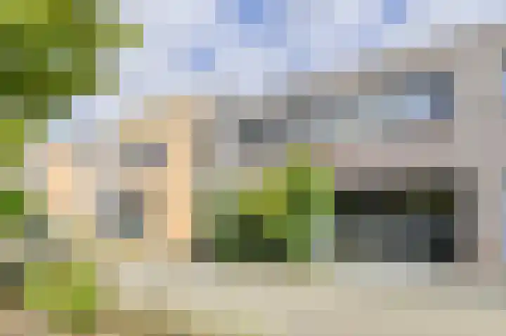 Anemoonlaan 36 a Raamsdonksveer thumbnail 6