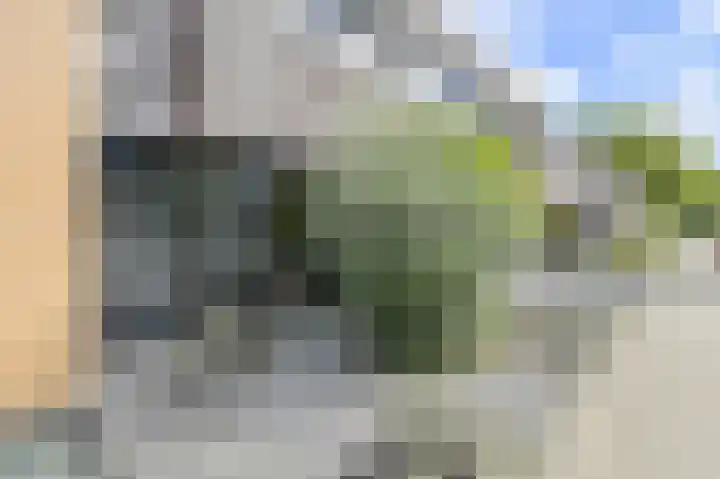 Anemoonlaan 36 a Raamsdonksveer thumbnail 7