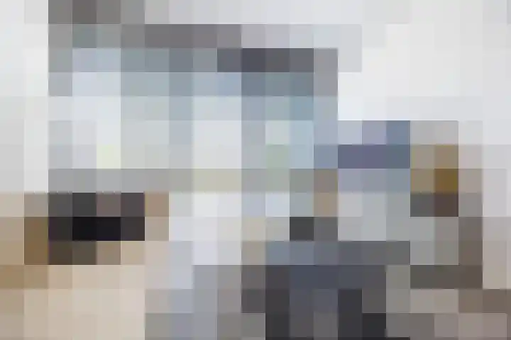 Anemoonlaan 38 d Raamsdonksveer thumbnail 11