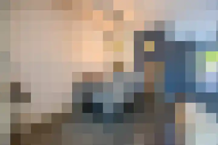 Anemoonlaan 38 d Raamsdonksveer thumbnail 13