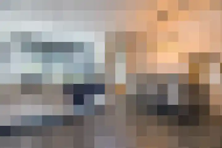 Anemoonlaan 38 d Raamsdonksveer thumbnail 15