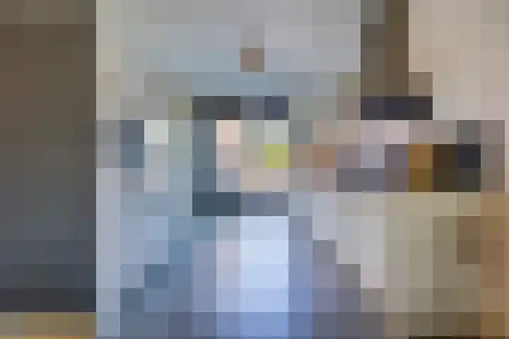 Anemoonlaan 38 d Raamsdonksveer thumbnail 17
