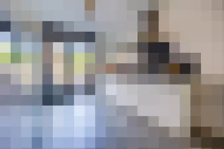 Anemoonlaan 38 d Raamsdonksveer thumbnail 18