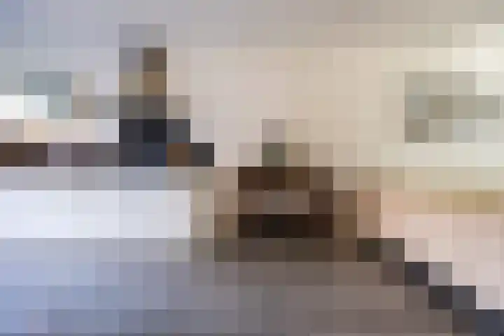 Anemoonlaan 38 d Raamsdonksveer thumbnail 19