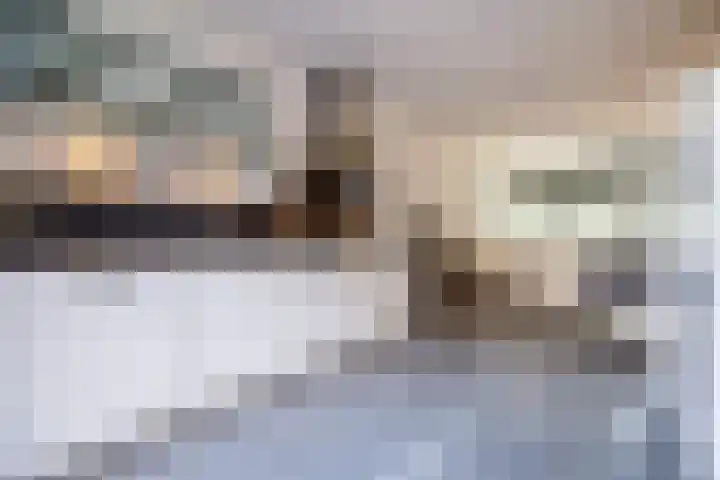 Anemoonlaan 38 d Raamsdonksveer thumbnail 21