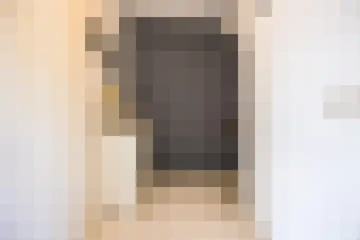 Anemoonlaan 38 d Raamsdonksveer thumbnail 22